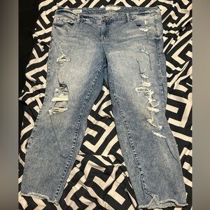 TORRID Distressed Blue Jean crops SZ 24
